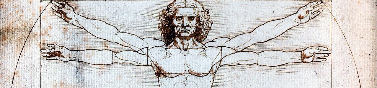 L'homme de Vitruve